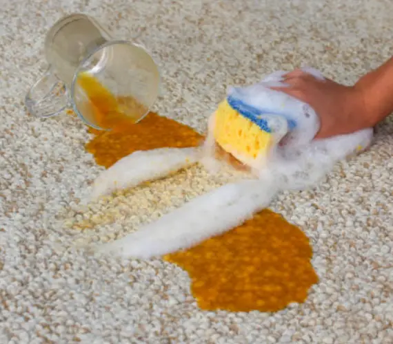 Juice Stain Removal